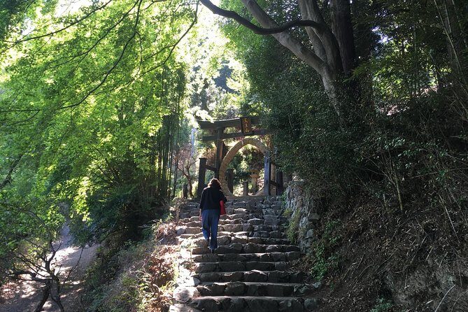 Tokyo Countryside Exploration Private Tour - Transportation and Group Size