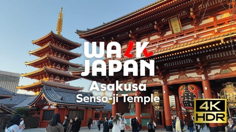 Tokyo: Customizable Day Trip Within Tokyo & English-Driver - Final Thoughts
