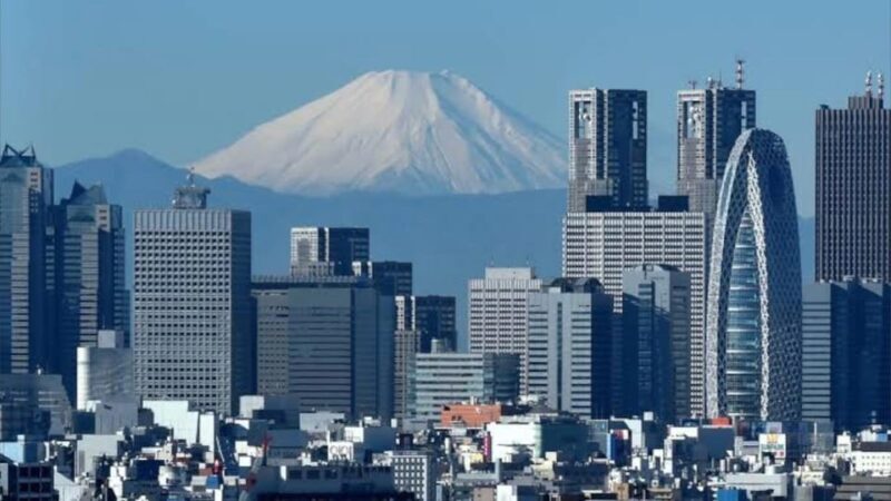 Tokyo: Customizable Private Guided Walking Tour - The Value of the Price