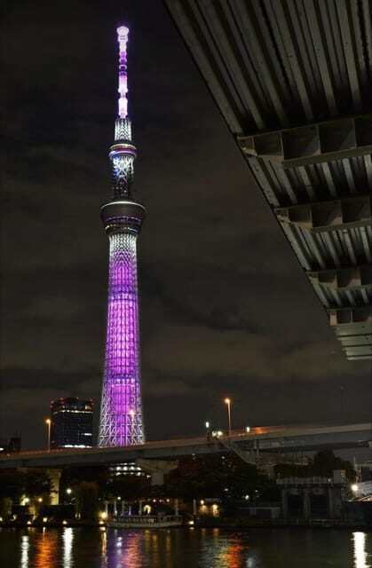 Tokyo Customizable Private Tour by Car & Van - Why Choose This Tour?
