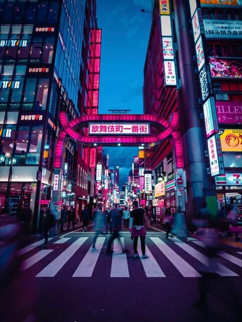 Tokyo Customizable Private Tour by Car & Van - Who Is This Tour Best For?