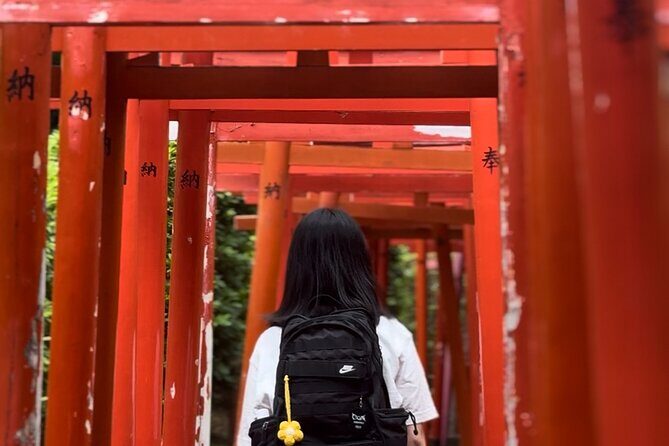 Tokyo Customizable Private Walking Tour with a Local Guide - The Sum Up