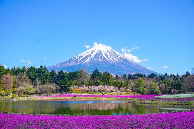 Tokyo: Customized Mt. Fuji & Hakone Sightseeing Private Day Trip - Exploring the Tokyo: Customized Mt. Fuji & Hakone Sightseeing Private Day Trip