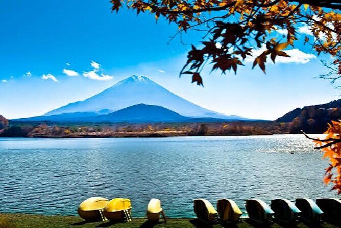 Tokyo: Customized Mt. Fuji & Hakone Sightseeing Private Day Trip - A Deep Dive into the Tour Experience
