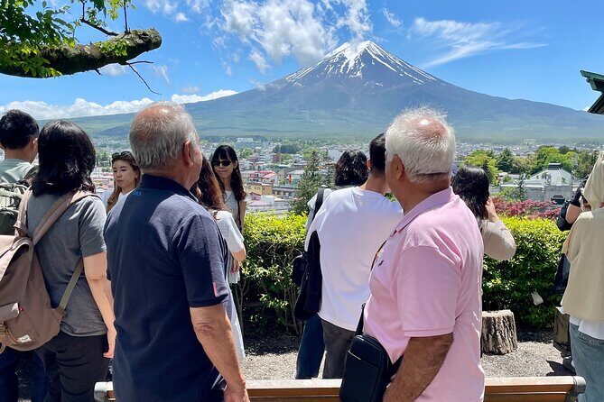 Tokyo: Customized Mt. Fuji & Hakone Sightseeing Private Day Trip - Final Words