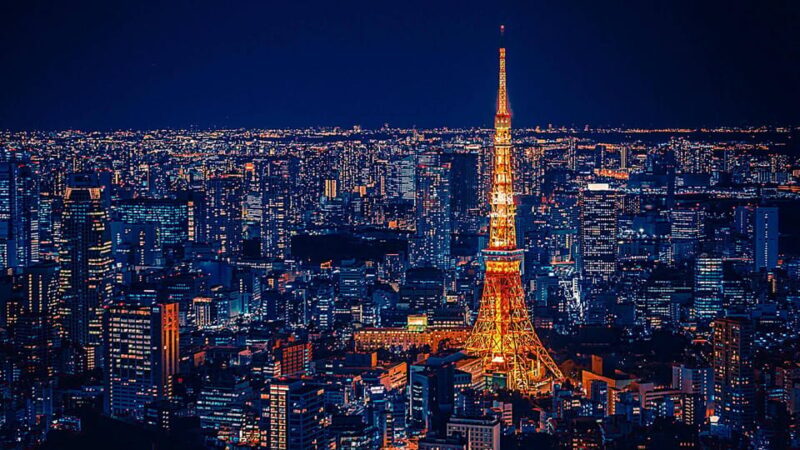 Tokyo: Customized Private Tour with a Local Guide - Final Thoughts