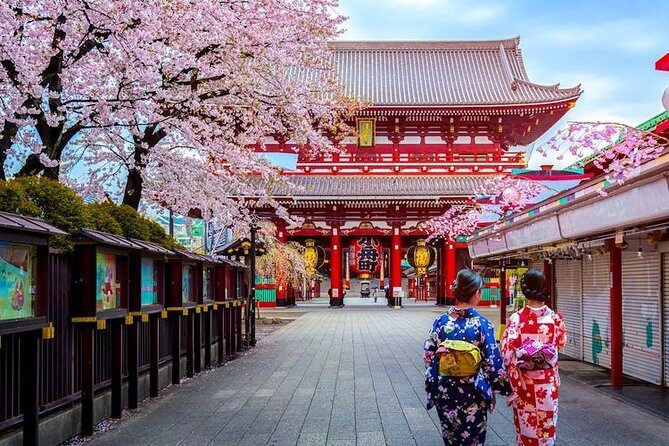 Tokyo Departure Private Transfers from Tokyo City to Tokyo-Narita Airport NRT - The Experience: From Hotel to Airport