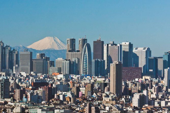 Tokyo Departure Private Transfers from Tokyo City to Tokyo-Narita Airport NRT - Safety and Hygiene First
