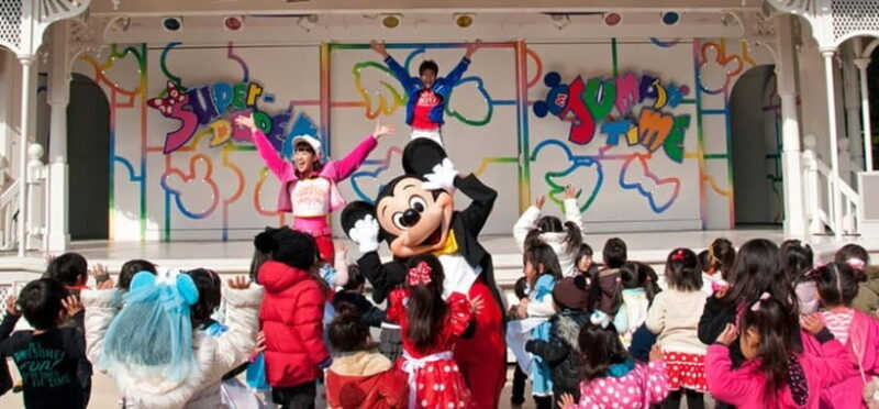 Tokyo Disneyland: 1-Day Entry Ticket and Private Transfer - Considerations Based on Reviews