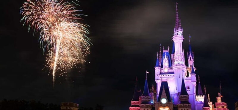 Tokyo Disneyland: 1-Day Entry Ticket and Private Transfer - Who Should Consider This Tour?