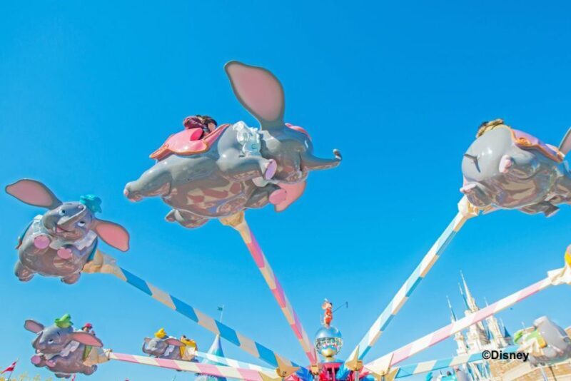 Tokyo Disneyland 1-Day Passport - What to Expect at Tokyo Disneyland