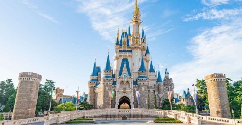 Tokyo Disneyland 1-Day Passport - Practical Tips for Your Visit