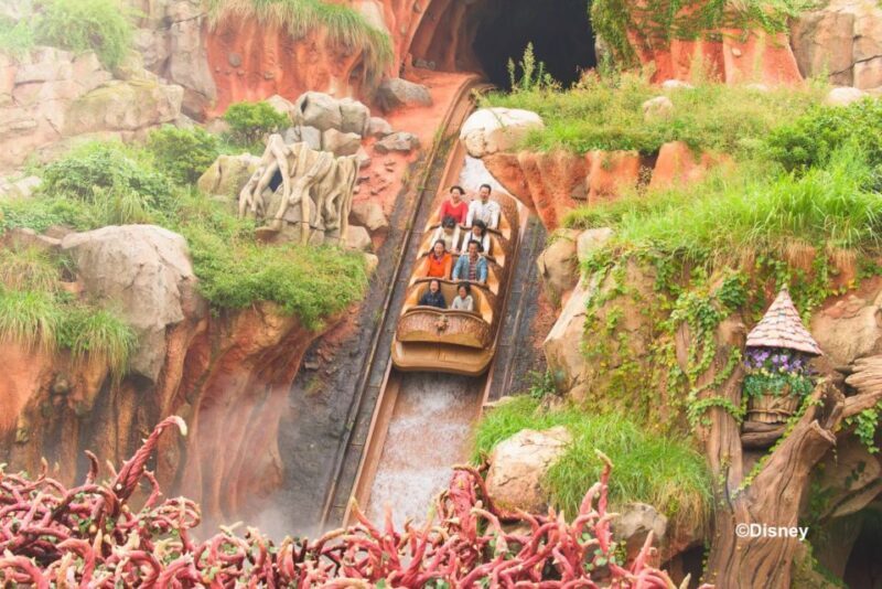 Tokyo Disneyland 1-Day Passport - Final Thoughts