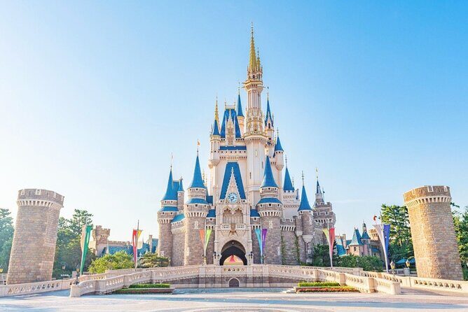 Tokyo Disneyland: 1-Day Ticket & Private Hotel Transfer - Who Is This Tour Best For?