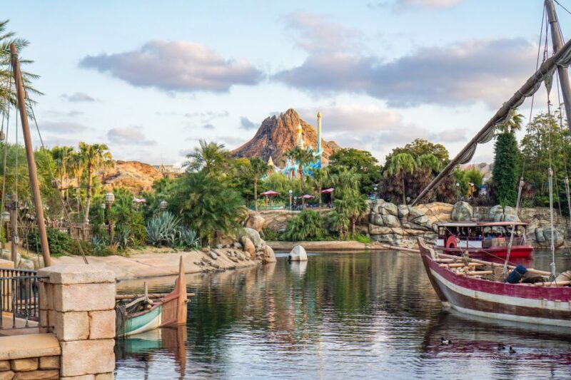 Tokyo Disneyland or DisneySea Ticket & Door to Door Transfer - Why This Tour Works for You: A Practical Review