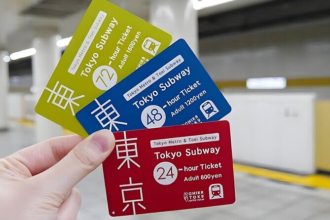 Tokyo Disneysea Ticket & Tokyo Subway Pass - The Basics of the Tour