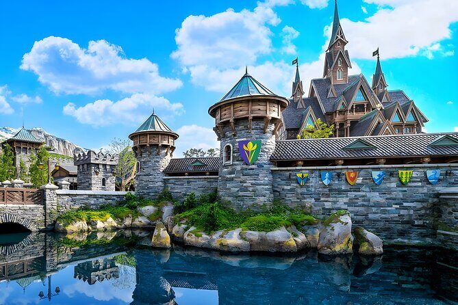 Tokyo Disneysea Ticket & Tokyo Subway Pass - Analyzing Value and Practicality