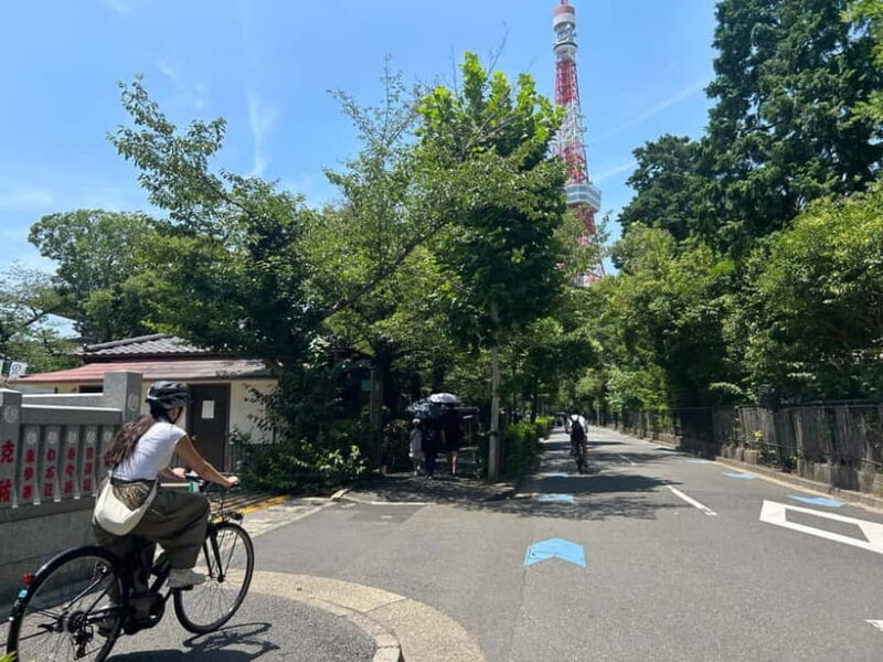 Tokyo : E-Bike Guided Tour Highlights and Hidden Gems - Key Points