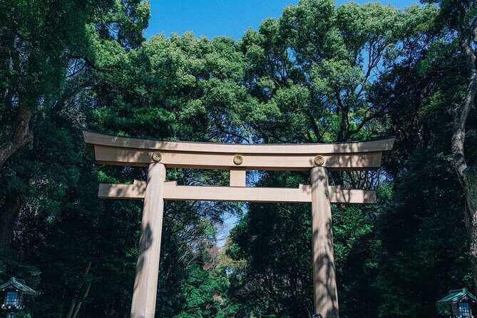 Tokyo Early Morning Tour Asakusa Meiji Shrine and Tsukiji Market - An In-Depth Look at the Tokyo Early Morning Tour