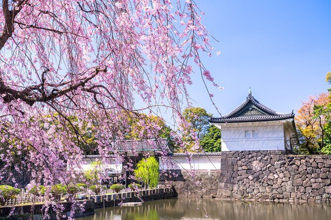 Tokyo, East Garden of the Imperial Palace w/ History Guide - An Overview of the Experience