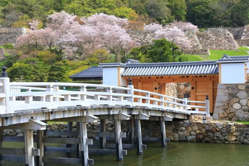 Tokyo: East Garden of the Imperial Palace with History Guide - Who Will Love This Tour?