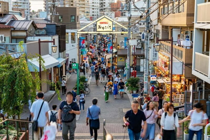 Tokyo: Encounter Cultural Heritage & enjoy the old town - A Deep Dive into the Experience