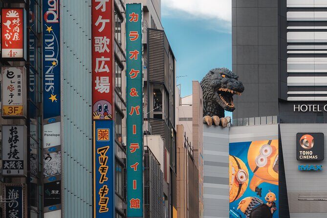 Tokyo Full Day Asakusa, Akihabara, Harajuku and Shinjuku - Final Thoughts