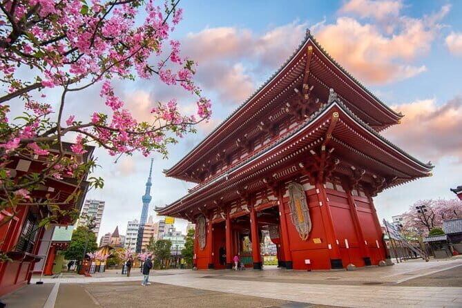 Tokyo Full Day Customize Private City Tour - Exploring Tokyo on Your Terms: An In-Depth Look
