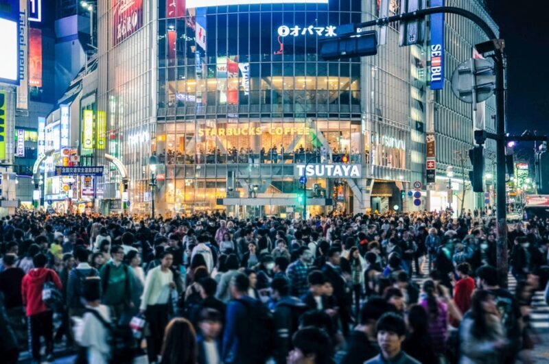 Tokyo: Full-day Immersive Private Tour by Premium Car - Who Would Enjoy This Tour?