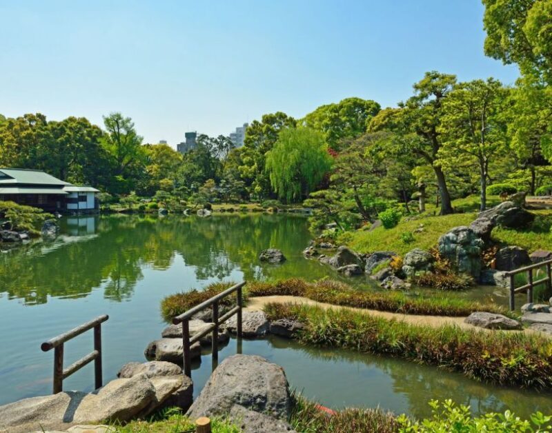 Tokyo: Full-Day Japanese Garden Private Guided Tour - Exploring Tokyo’s Gardens: A Deeper Look