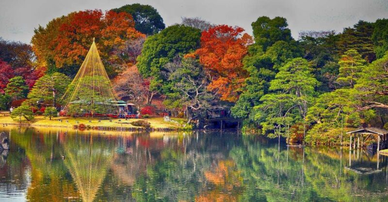 Tokyo: Full-Day Japanese Garden Private Guided Tour - Considerations and Practical Tips