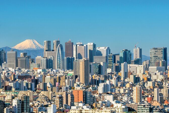 Tokyo Full Day Private City Tour - Why This Tour Represents Good Value