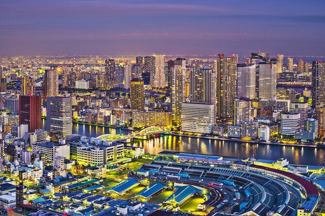 Tokyo Full Day Private City Tour - Who Will Love This Tour?
