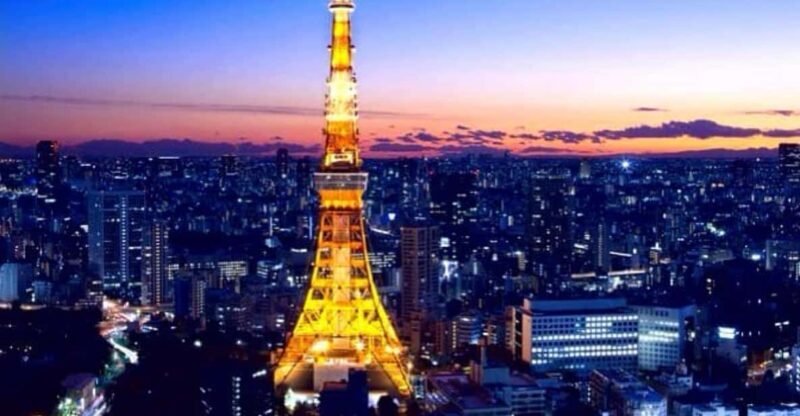 Tokyo Full-Day Private Customizable Tour With English Driver - Key Points