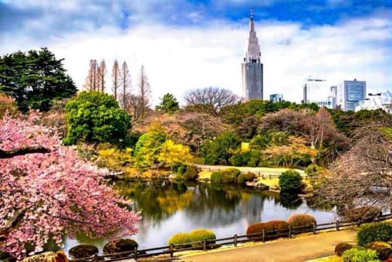 Tokyo Full-Day Private Customizable Tour With English Driver - Final Thoughts: Why Choose This Tour?