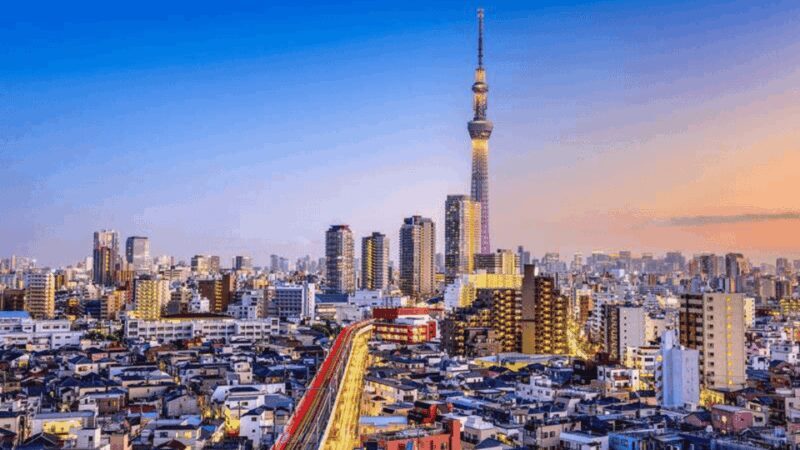 Tokyo Full day Private Customized Tour with English Driver - Overview of the Experience