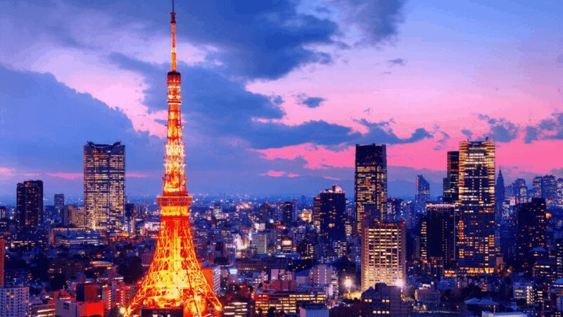 Tokyo Full day Private Customized Tour with English Driver - Detailed Breakdown of the Itinerary