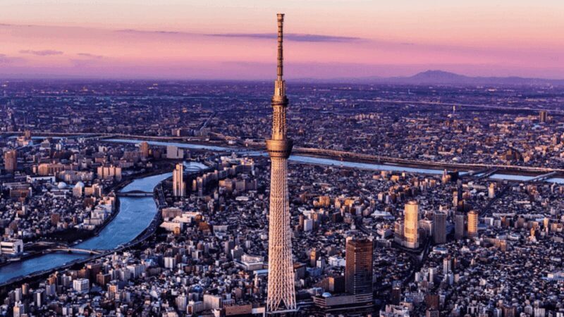Tokyo Full day Private Customized Tour with English Driver - Price and Value Consideration