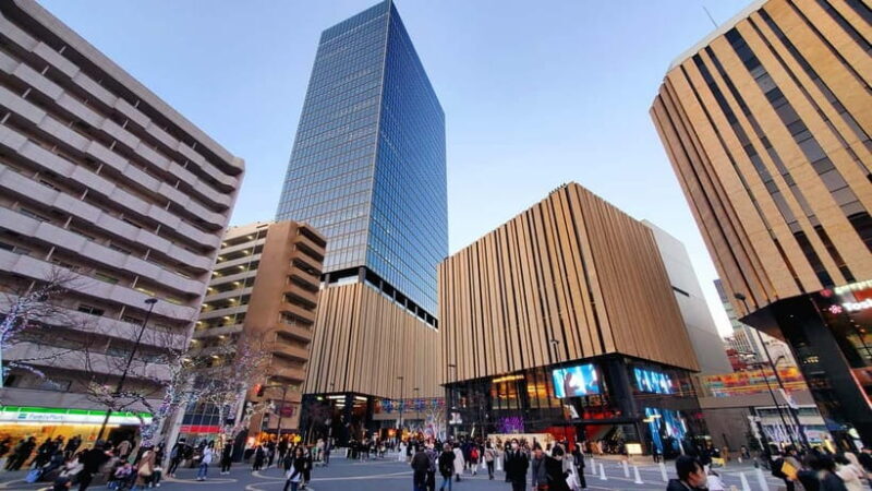 Tokyo Full-Day Private Tour (Customizable) - Key Points