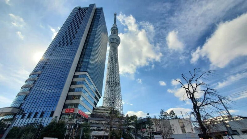 Tokyo Full-Day Private Tour (Customizable) - A Practical Look at the Tour Experience
