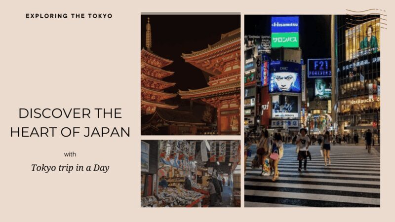 Tokyo full day private tour with Guide - Who Will Love This Tour?