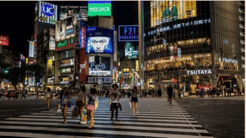 Tokyo full day private tour with Guide - The Sum Up