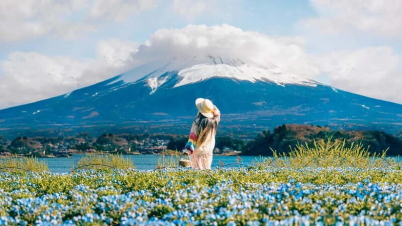 Tokyo: Full-Day Tour of the Six Majestic Spots of Mt Fuji - Exploring Mount Fuji: A Detailed Look at the Full-Day Tour from Tokyo