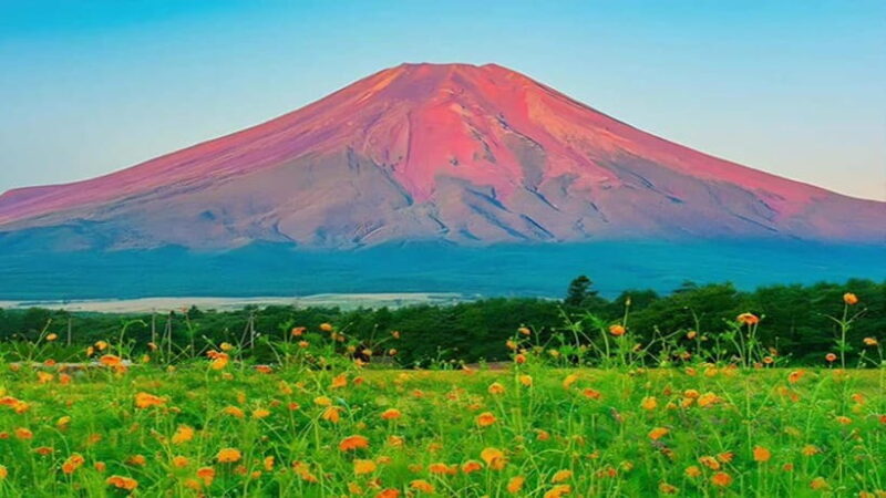 Tokyo: Full-Day Tour of the Six Majestic Spots of Mt Fuji - Authentic Experiences and Unique Highlights