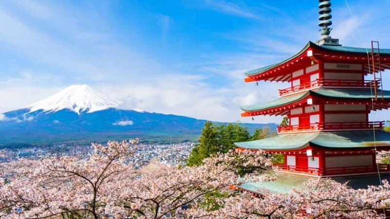 Tokyo: Full-Day Tour of the Six Majestic Spots of Mt Fuji - Who Should Consider This Tour