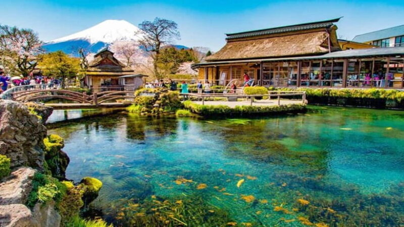 Tokyo: Full-Day Tour of the Six Majestic Spots of Mt Fuji - FAQs About the Tour