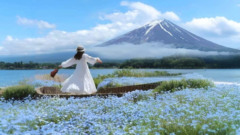 Tokyo: Full-Day Tour of the Six Majestic Spots of Mt Fuji - Final Thoughts