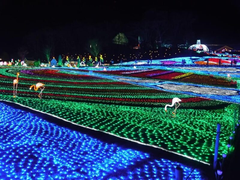 Tokyo: German Village Lighting and Farm Experience - How Does It Value?