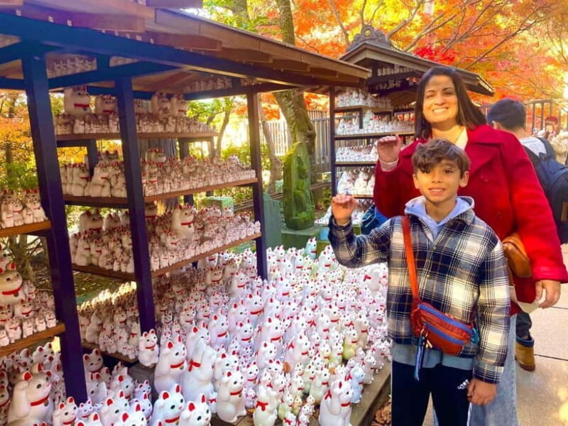 Tokyo: Gotokuji Cat Temple, Shinjuku Cat Cafe & 3D Cat Tour - Authentic Experiences & Honest Insights
