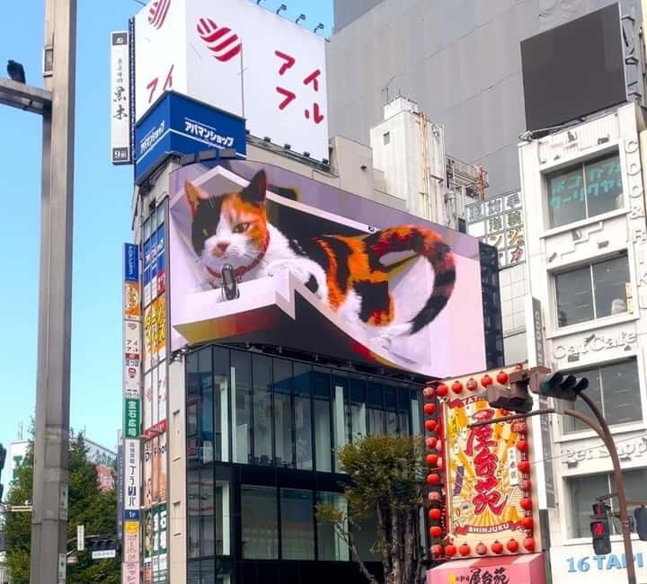 Tokyo: Gotokuji Cat Temple, Shinjuku Cat Cafe & 3D Cat Tour - Who is This Tour Best For?